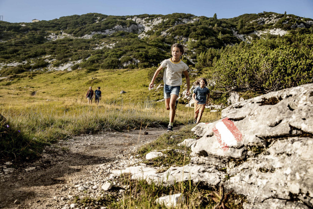 Sommerurlaub in Österreich, Gjaidalm in Obertraun
