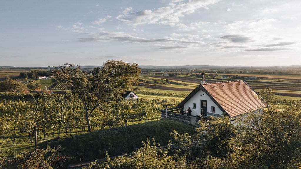 Kulinarik in der Kellergasse in Galgenberg in Wildendürnbach, Weinviertel