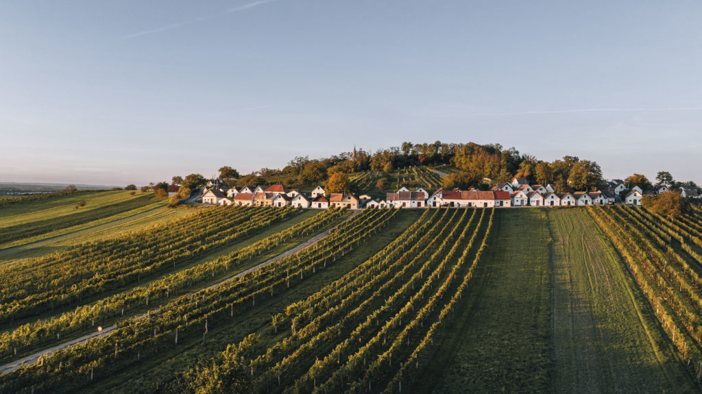 Kellergasse in Galgenberg in Wildendürnbach, Niederösterreich, Weinviertel