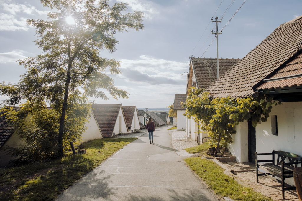 Spazieren durch die Kellergasse im Weinviertel, Niederösterreich,