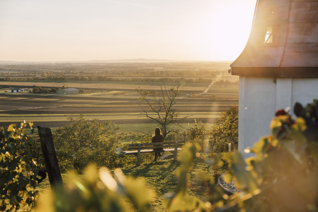 Ausblick über die Weinberge im Weinviertel, Niederösterreich