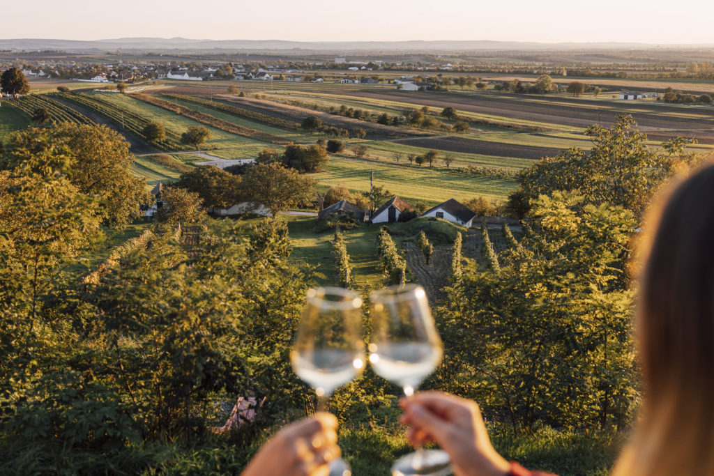 Ausblick über die Weinberge im Weinviertel, Niederösterreich