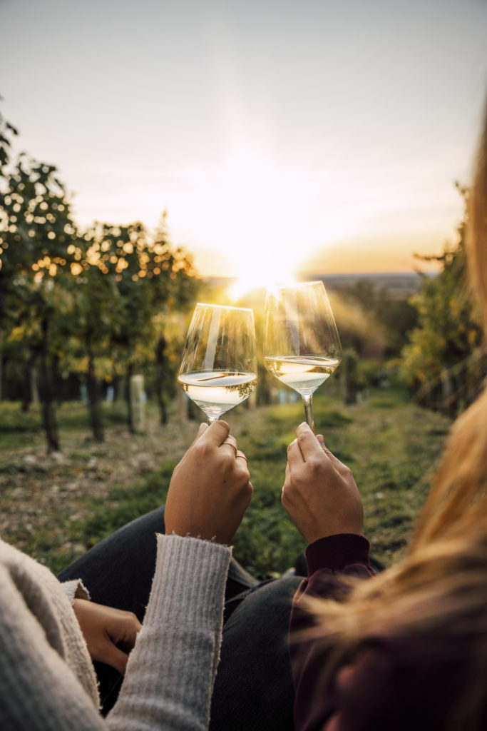 Anstoßen und Wein trinken in den Weinberge im Weinviertel, Niederösterreich
